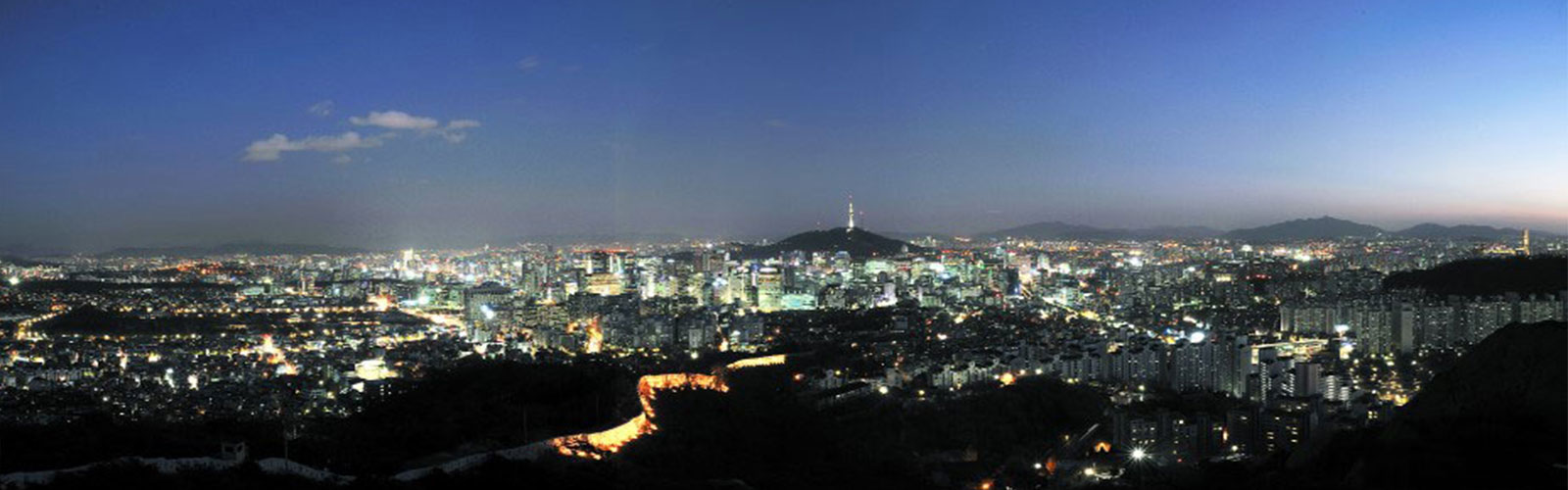 Solar Subsidy in Delhi